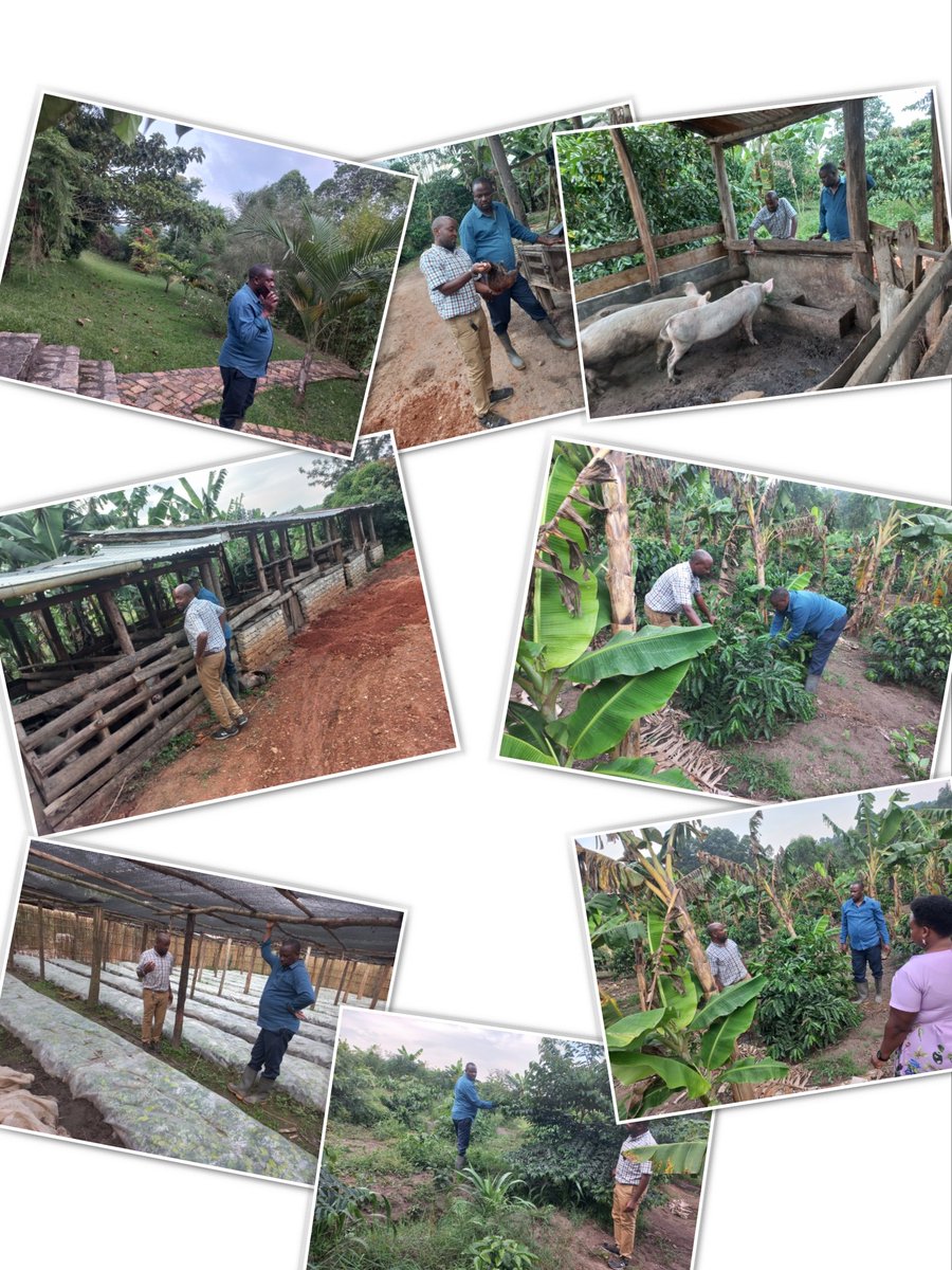2de at Muga Eco Village, we were privileged to host the Bushenyi Resident District Commissioner Emmy Ngabirano. He toured a number of projects, which include: apiary, coffee, fish farm, piggery, gonja, coffee nursery bed, semi-zero grazing, cottage. 
<a href="/GovUg/">David Alvarez</a> 
<a href="/kirunda_faruk/">Faruk Kirunda</a>