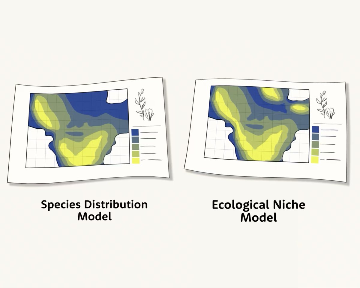 In CPC’s Applied Plant Conservation Course, you'll find in-depth tutorials on best practices in data collection &amp; the process of modeling that data — for instance, Species Distribution Modeling vs Ecological Niche Modeling. 

🔗 Enroll today at SavePlants.org/Courses