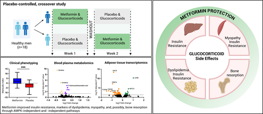 Metformin prevents glucocorticoid-induced insulin resistance and has the potential to protect against glucocorticoid-induced dyslipidemia, osteoporosis, and myopathy. <a href="/ADA_Pubs/">ADA Professional Publications</a> 

Read Here➡️ diabetesjournals.org/care/lookup/do…