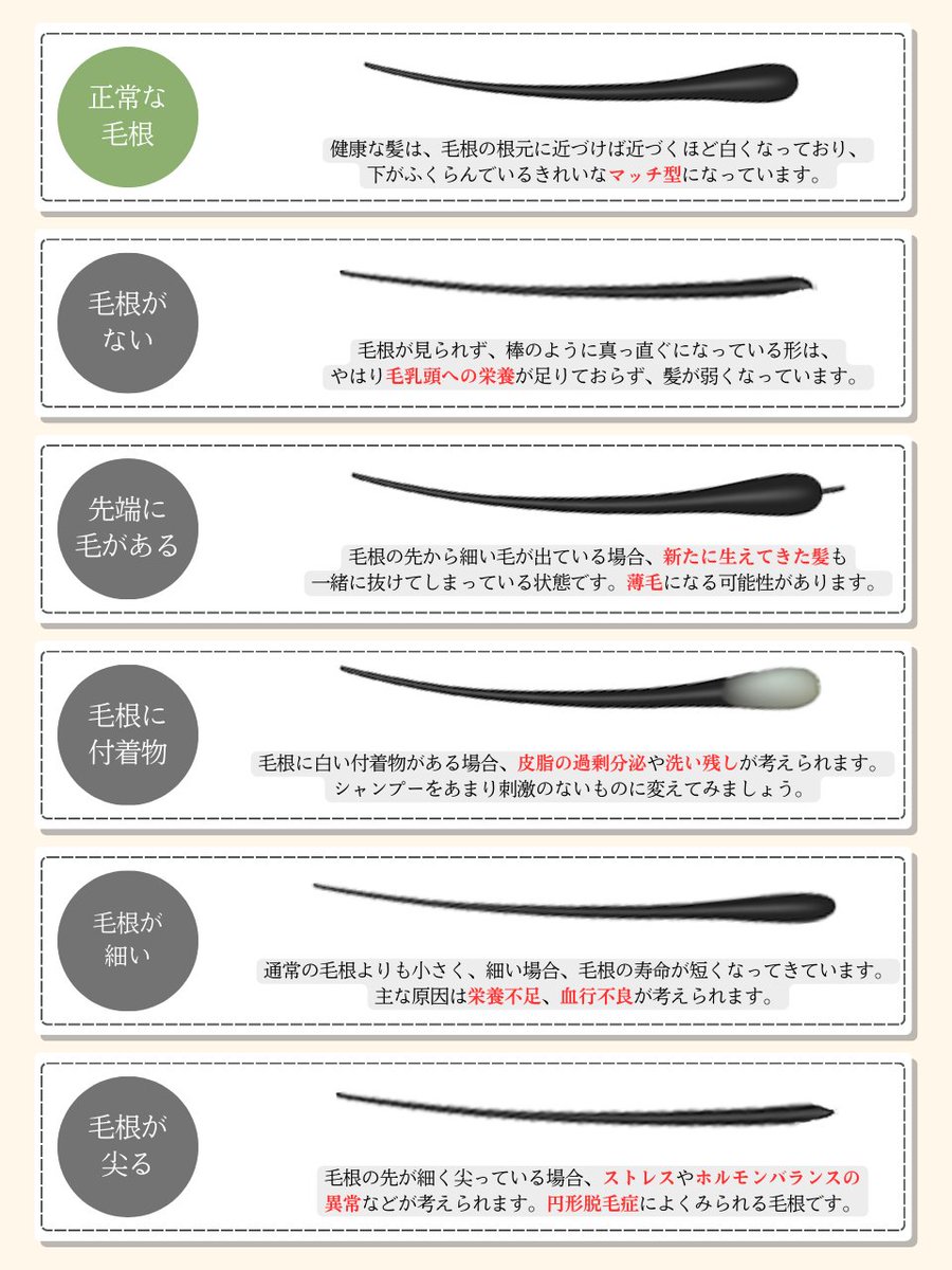 JapanSalaryboom tweet picture