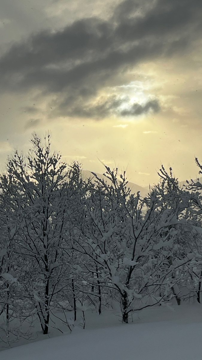 Been snowing for 7 days, only catching glimpses of sun in it’s glory