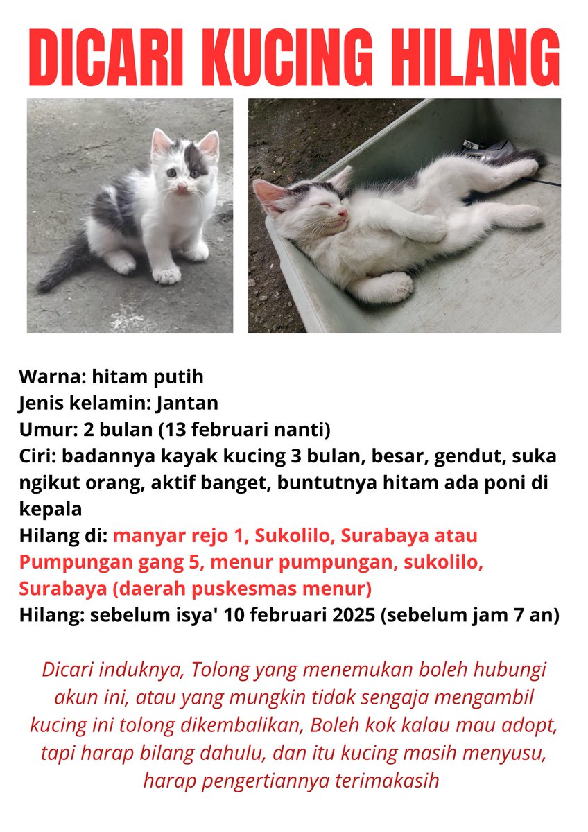 [Help LIKE dan RT pleaseee] 
Kucing aku hilang, induknya nyariin sampek nggak mau makan
Kalau ada yg ambil tolong banget dikembalikan dulu, kalau mau adopt boleh, tapi jangan masih kecil begini, kasian induknya nyariin kemana2 nggak mau makan😔 #kucinghilang #suroboyo