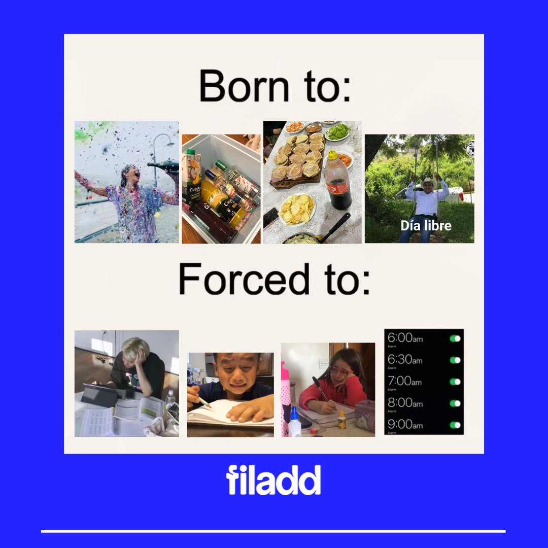 Filadd_web's tweet image. 