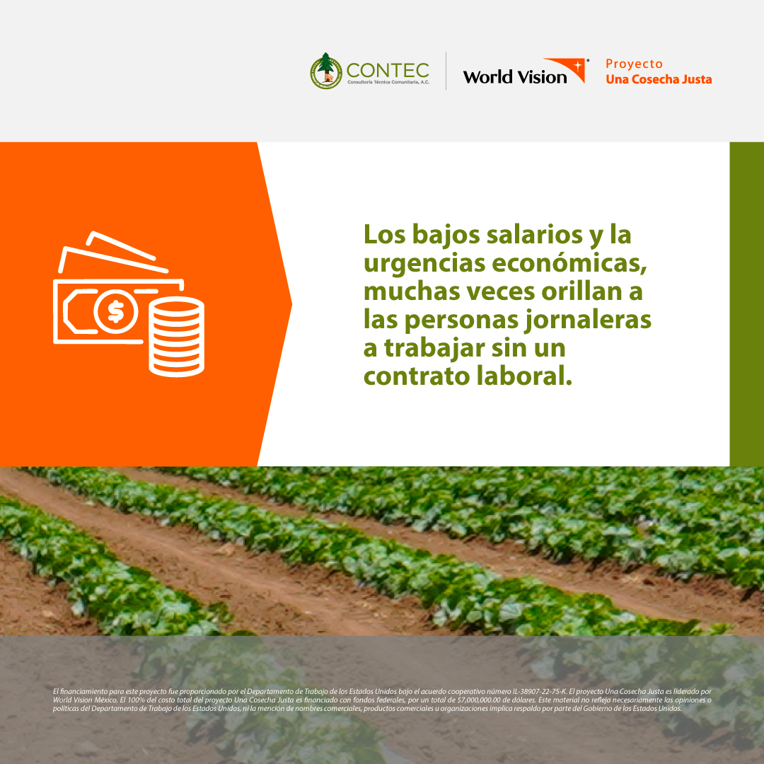 CONTEC A.C. tweet media