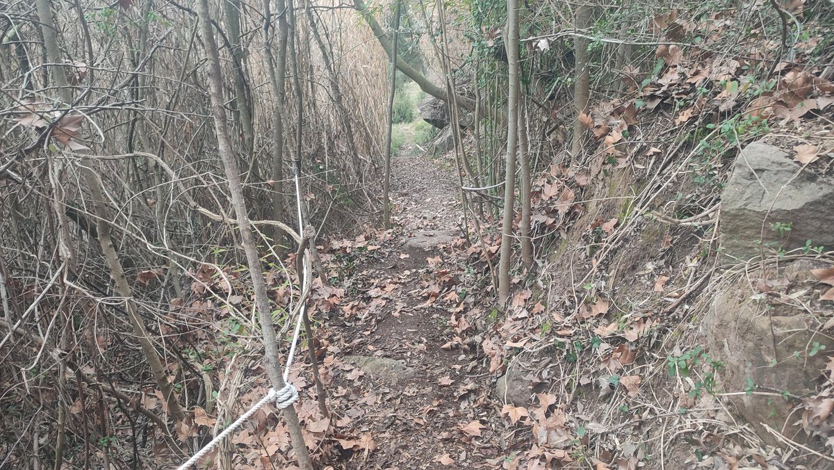 Associacioveins's tweet image. L'Associació de Veins de Cal Prat continua fent la neteja de fulles caigudes i el manteniment de les escales i caminet del costat de la Font de la Teula. 🍂🧹⛲