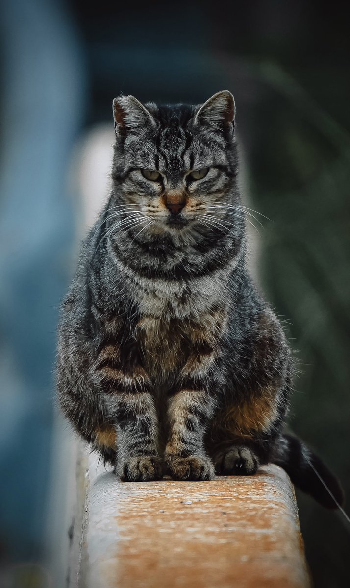 Offroadsite's tweet image. 