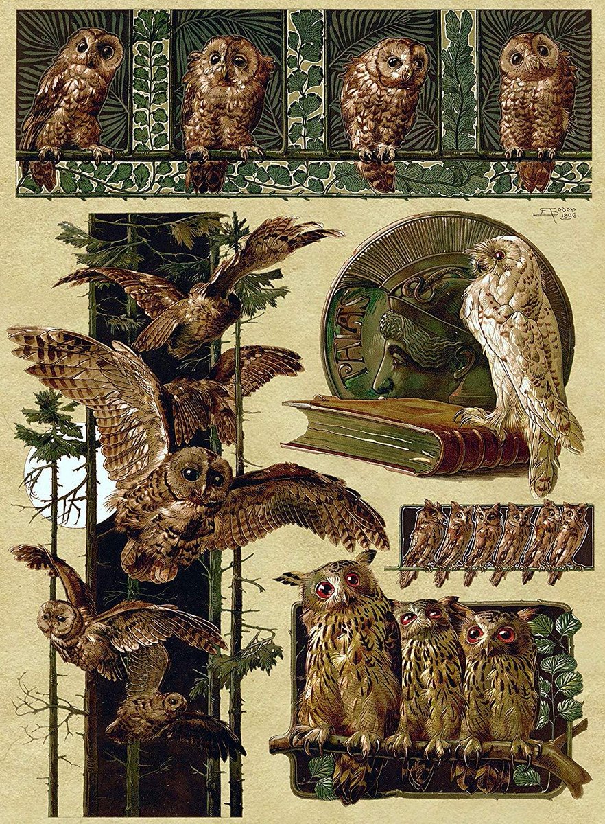 Owls by Anton Seder, 1896