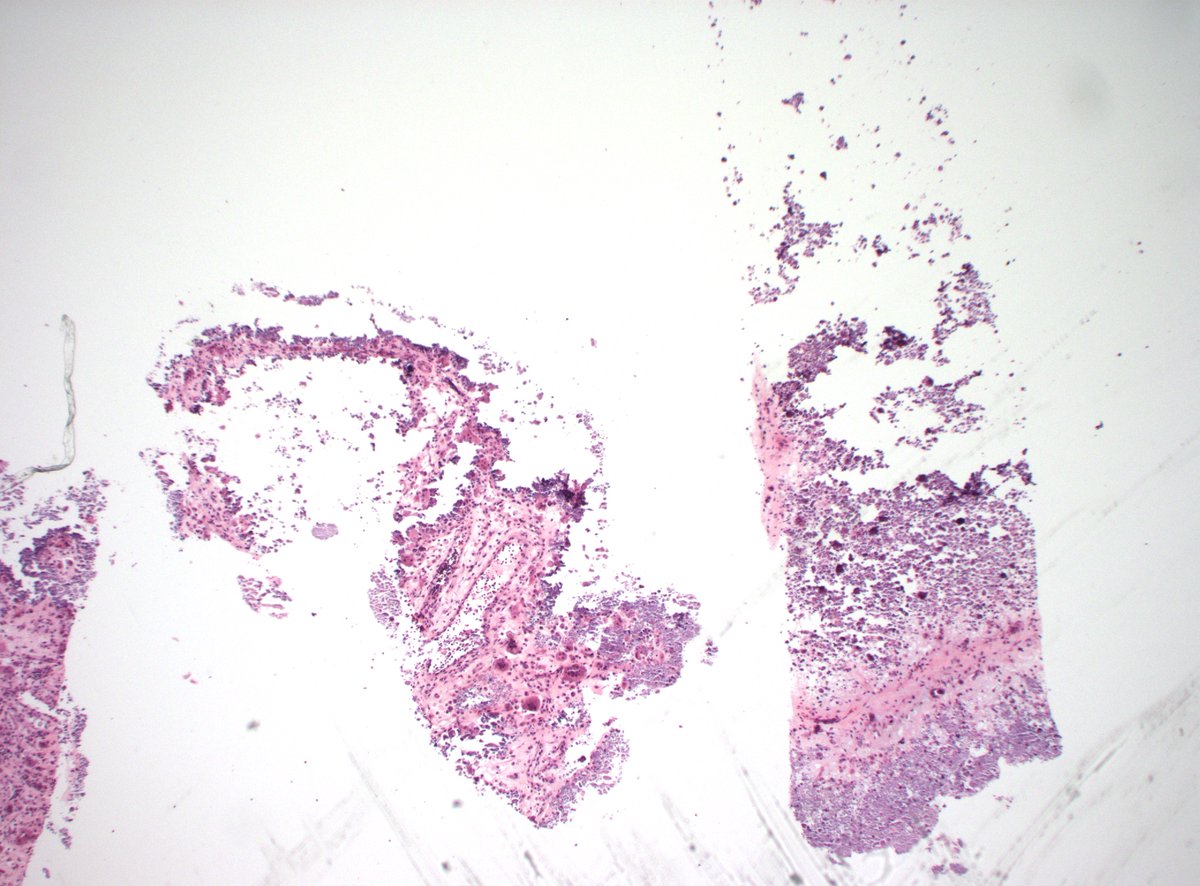 Dan Graham tweet media