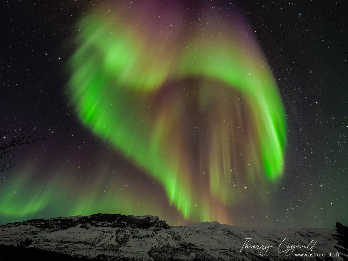 ThierryLegault's tweet image. Vivid and colorful northern lights on Jan 27 from Skibotn, Norway 馃ぉ
Coming soon: the breathtaking show of Feb 1st, thanks to a huge coronal hole 馃槉
Sigma fp-mod & 14mm 1.8 Art