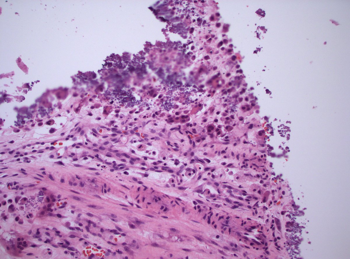 Dan Graham tweet media