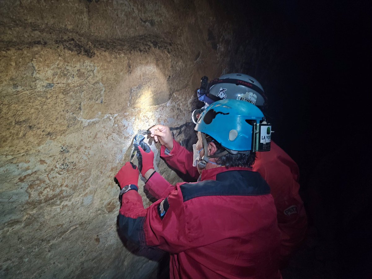 Carlos Lasso tweet media