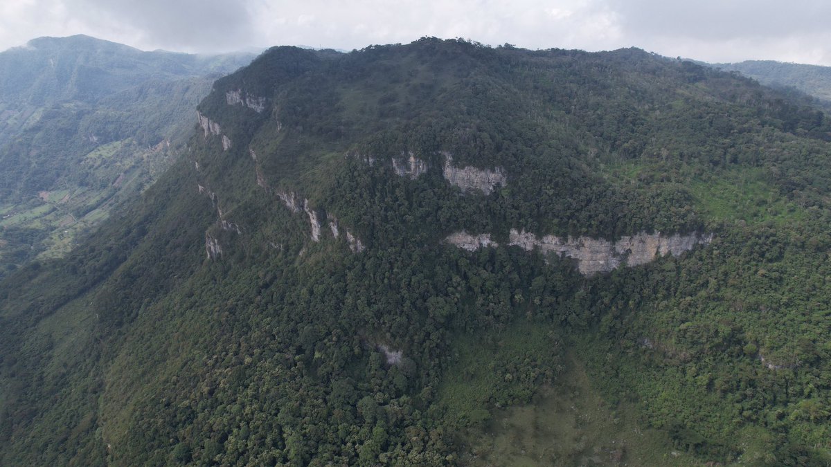 Carlos Lasso tweet media