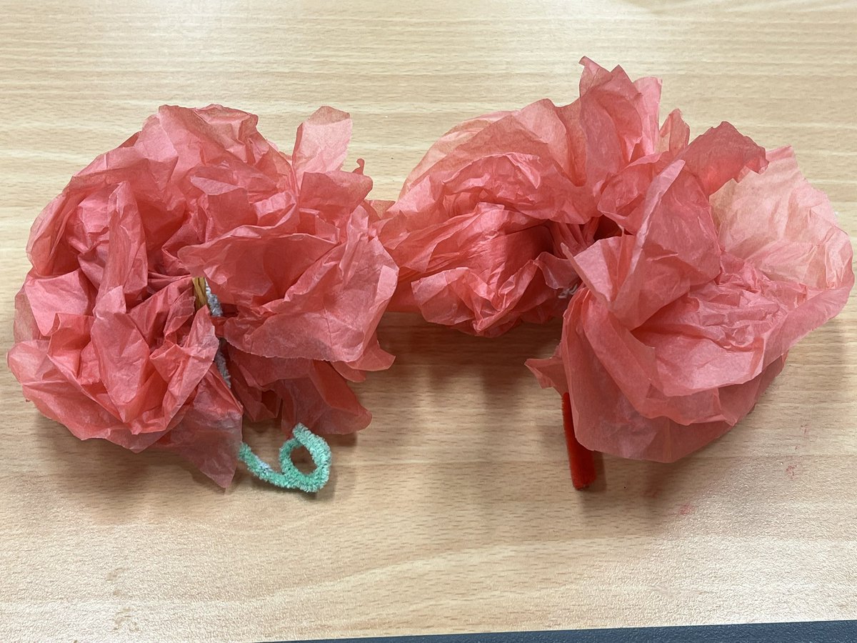 GorillaManFitn1's tweet image. I was on flower making duties tonight at 1st Collingham Scouts 💪💐 #scouts #scouting #scoutingfamily #scoutingadventures #scoutingactivities