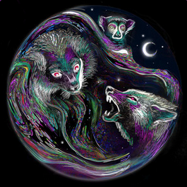 🚨 ¡Atención amantes de la música! Xan Roldan ha lanzado "Criaturas de la Noche", una canción que transporta a un mundo de romance fervido. Escúchala aquí: wix.to/I04CBlY #XanRoldan #Noche #ElectroPop