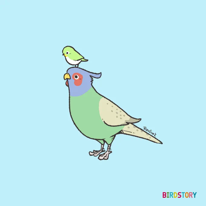 おはようございます。本日は2月11日、建国記念の日とのことですよき祝日になりますように#BIRDSTORY #建国記念の日 #キジ #メジロ 
