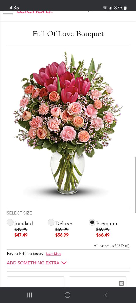 GOoseBison's tweet photo. Happy nearly Valentines Day, everyone! Here's a PSA to never use @Teleflora Ordered vs. delivered a day late. Standard red solo cup for reference. I know this is my first post in probably many years, but I just thought I might help someone from making the same mistake I did. https://t.co/XyT39SCHsY