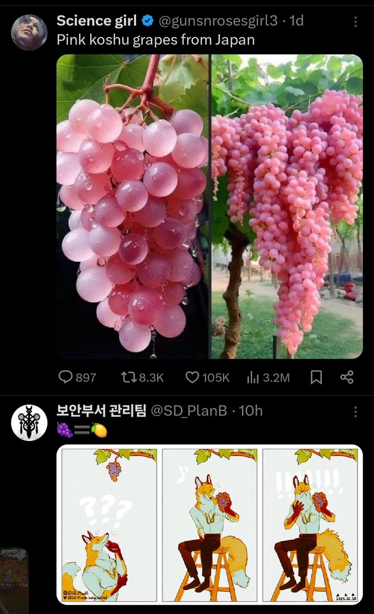 JaneRose_13's tweet photo. @SD_PlanB My feed blessed me with this and just had to share it https://t.co/3iCzs9VZTK