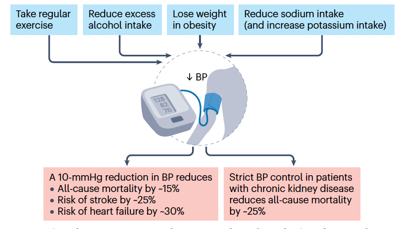 ValleAlfonso's tweet photo. 🚨 Hypertension remains the #1 cause of death worldwide! 🌍💔 But new drugs are changing the game.

🔬 Aprocitentan, a dual endothelin receptor antagonist, is the first new #hypertension drug class approved in almost 2 decades! 💊🚀

📉 New therapies like siRNAs, aldosterone synthase inhibitors & non-steroidal MRAs could transform #BloodPressure management.

💡 Personalized medicine & better adherence strategies will be key! 🔑

🔗 Read more: https://t.co/FbiZUbcvUE

#Cardiology #HeartHealth #MedicalInnovation #HypertensionAwareness #BloodPressureMatters ❤️🩺