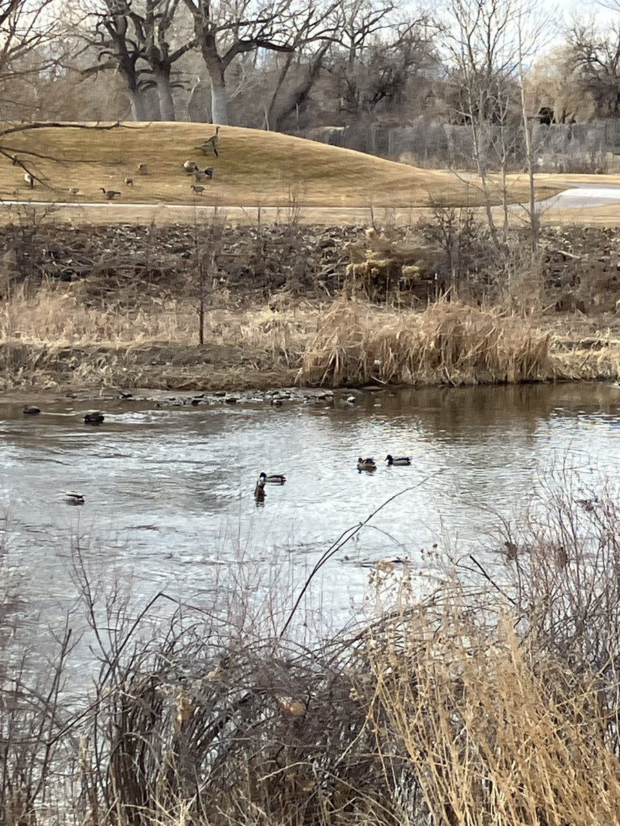 We hope you’ve got your ducks in a row and stay warm this next storm!!