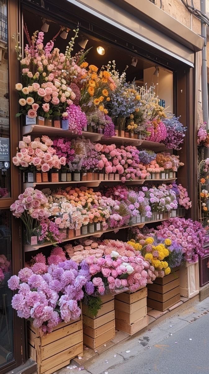 Colorful flowers