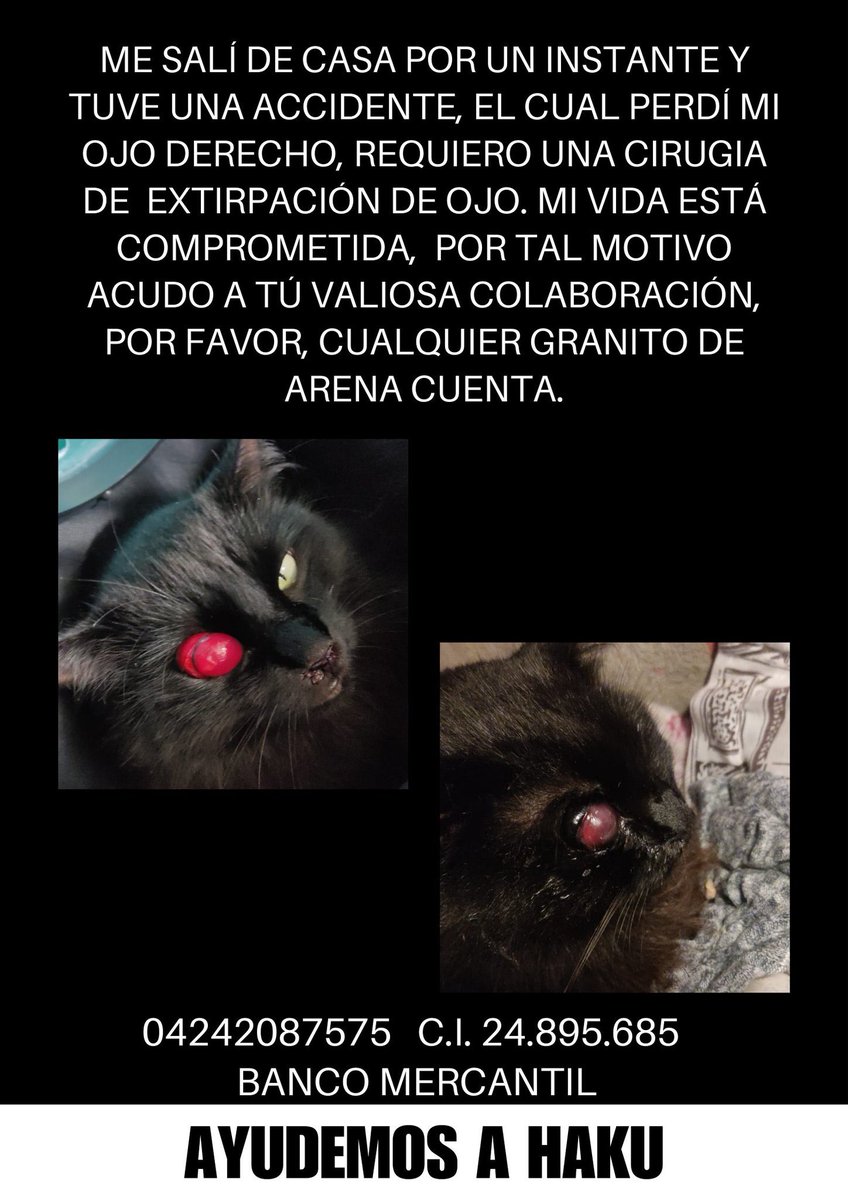 Alexa Gómez tweet media