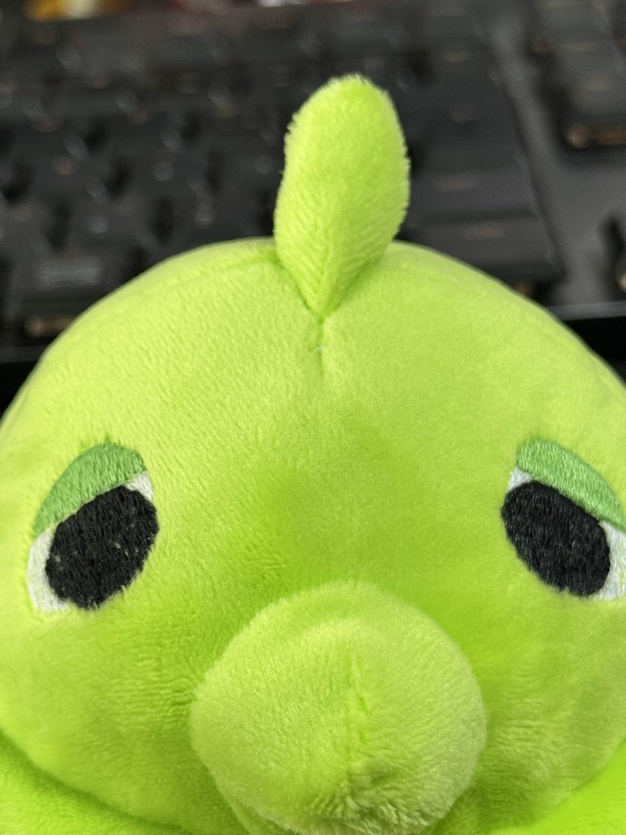 もちどりぬいぐるみ(ぽいどりver.)を作っていただきました･･･！
めちゃくちゃ良い・・・・🟢
🪡(@ K_Semishigure)