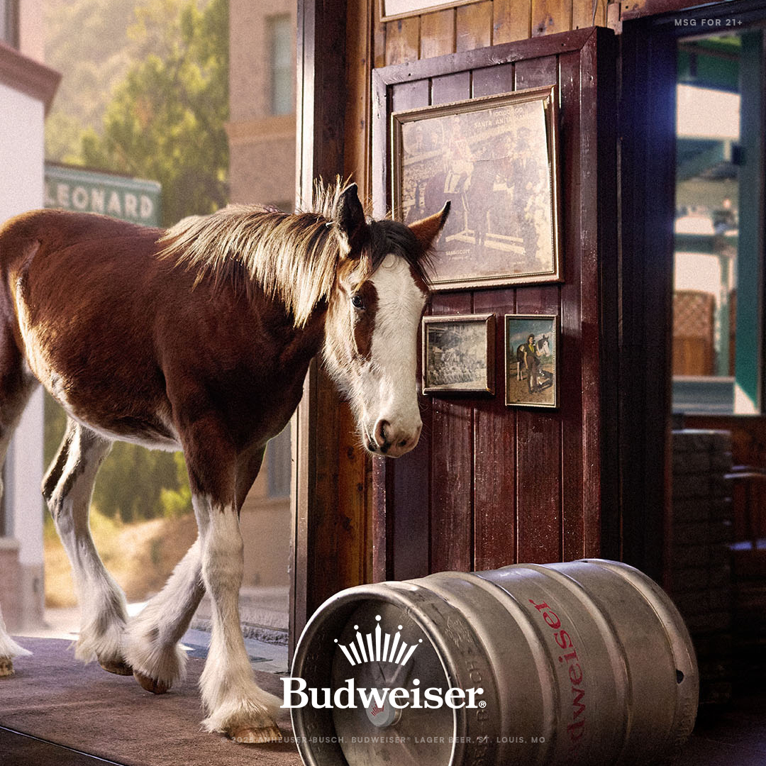 AnheuserBusch's tweet photo. Big wins for Anheuser-Busch! 🏆 @budweiserusa claimed the #1 spot on the Ad Meter. @MichelobULTRA, the fastest growing brand in the industry, @StellaArtois &amp; @BudLight cracked the top 10. We’re there for the moments that matter most! #ThatsWhoWeAre https://t.co/xLRpWEdnfl https://t.co/NtrngFMpmQ