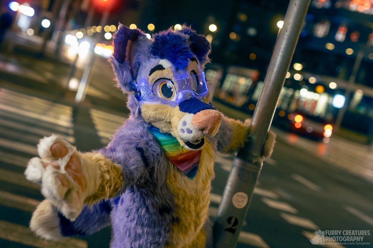 Furry C. Photo (@furcphoto) on Twitter photo Come on, let's dive into the lights and hustle of the city together!
๐ถ <a href="/Maffik2/">Maffik ๐จ๐ฟ</a> Come on, let's dive into the lights and hustle of the city together!
๐ถ <a href="/Maffik2/">Maffik ๐จ๐ฟ</a>