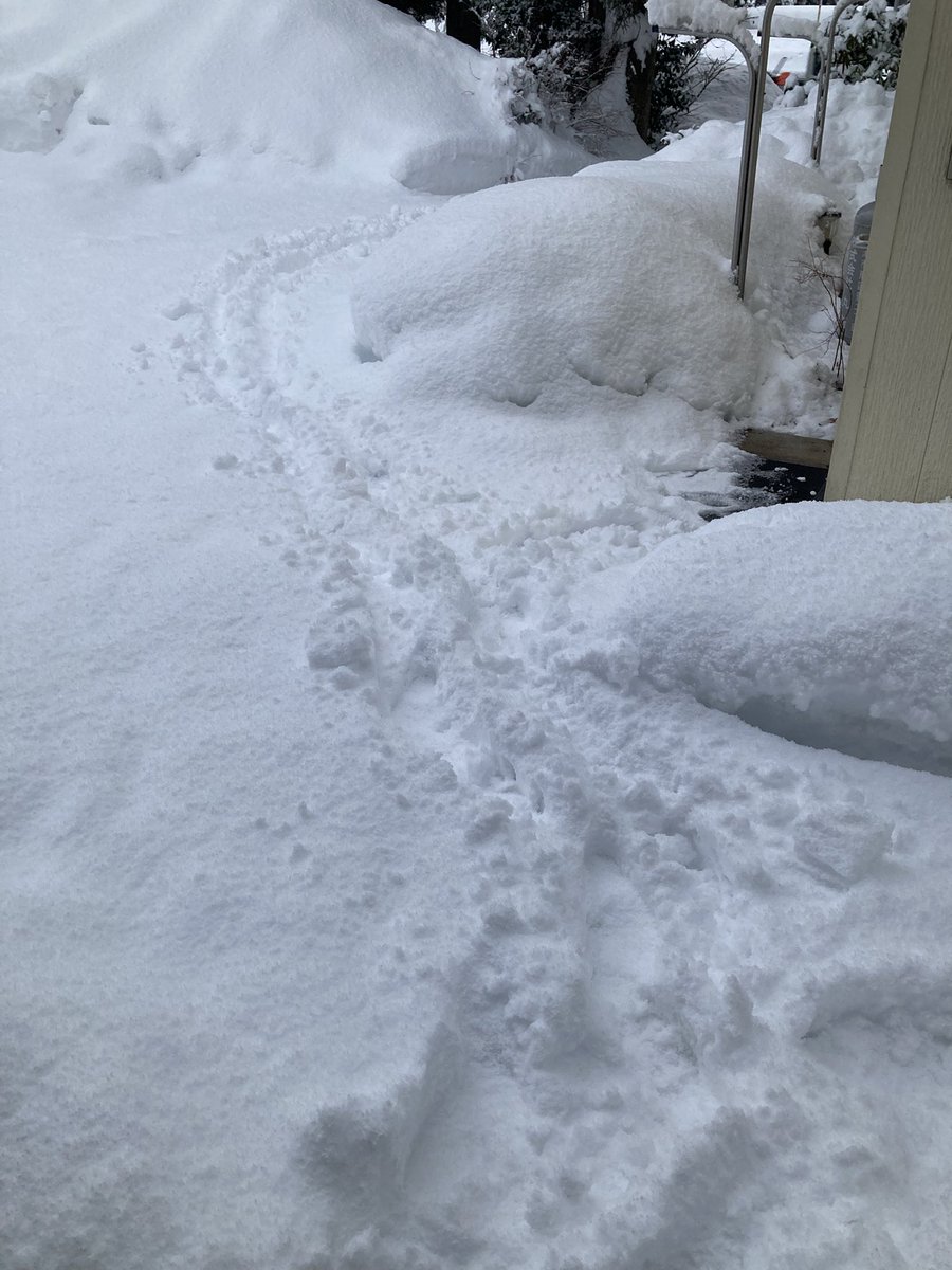 また雪からスタートの朝☀️