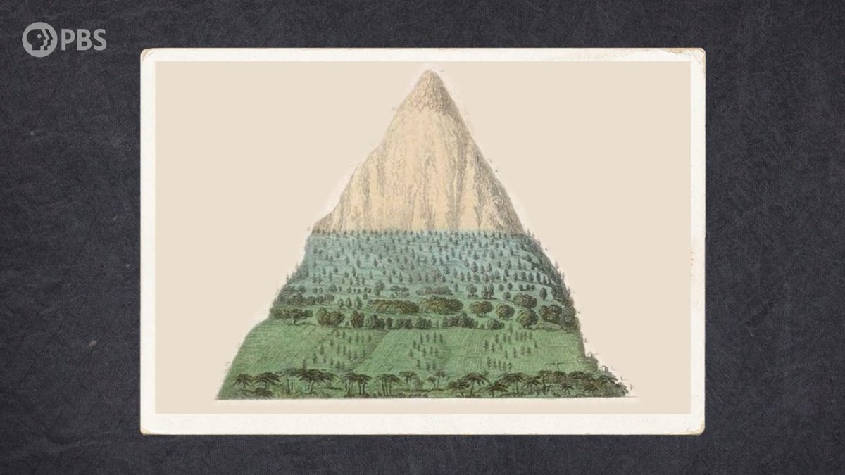 EonsShow's tweet image. How does elevation affect evolution? Mountains have a unique effect on diversity, messing with our understanding of animals through time. New video coming tomorrow!