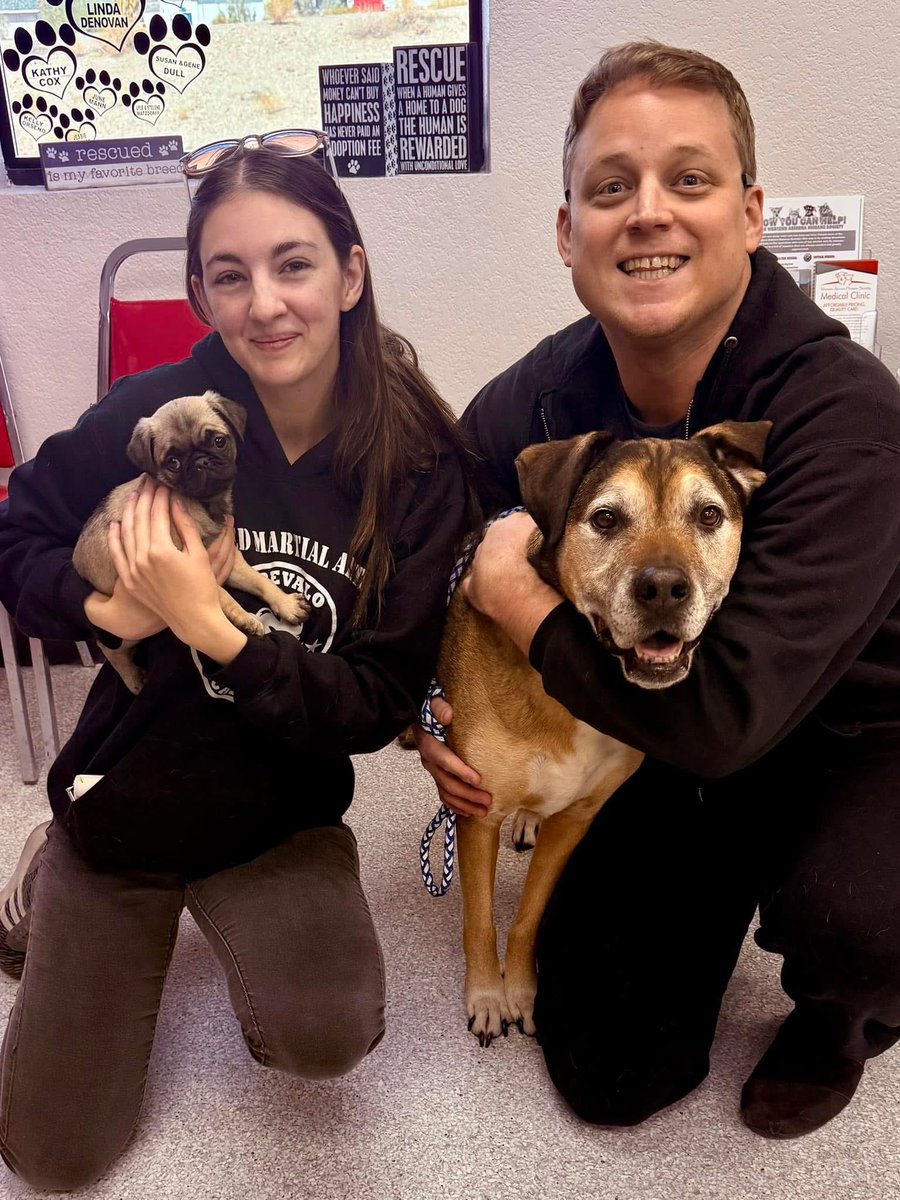MasterMonk1991's tweet photo. Hey! I hope you all are doing well! Life Update: I had to step away from streaming to focus on my career. I am now married and have two pups! I’m the worship leader at my church full time too. I hope to one day stream for fun again. God bless you all! - Monk https://t.co/eBMTaK9sAq