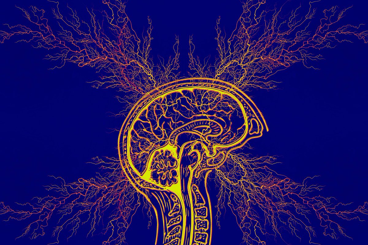 Glissez donc cette revue sur #TDAH et épilepsie sur le bureau de votre épileptologue préféré!
sciencedirect.com/science/articl…