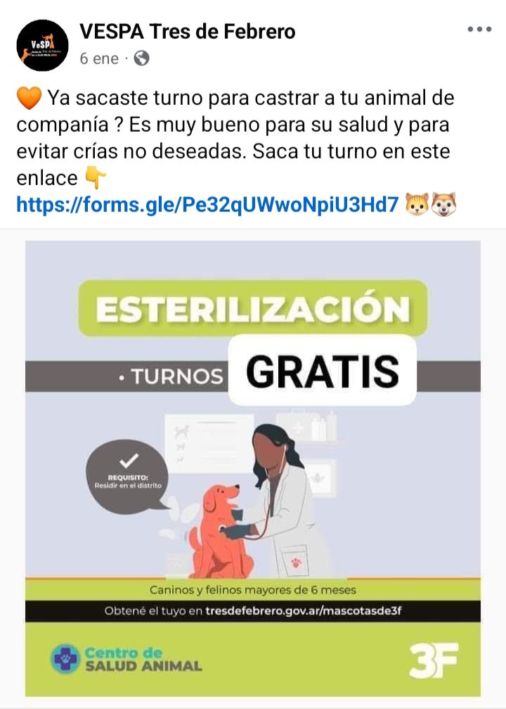 protegealanimal's tweet photo. #TRESDEFEBRERO #VILLABOSCH #CIUDADJARDÍNLOMASDELPALOMAR #MARTÍNCORONADO #PABLOPODESTÁ #LOMAHERMOSA #11DESEPTIEMBRE #CHURRUCA #ELLIBERTADOR #REMEDIOSDEESCALADA #CASEROS #SANTOSLUGARES #SÁENZPEÑA #VILLARAFFO #JOSÉINGENIEROS #FUERTEAPACHE #CIUDADELA #ZONAOESTE #GRANBSAS #BSAS https://t.co/myWBoBtADH