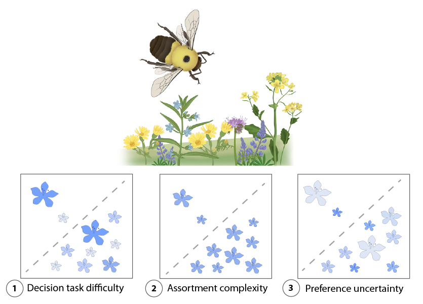 Trends in Cognitive Sciences (@trendscognsci) on Twitter photo Choice overload and its consequences for animal decision-making
Forum by Jessie Tanner (<a href="/jessiectanner/">Jessie C. Tanner</a>) & Claire Hemingway (<a href="/cthemingway12/">Dr. Claire Hemingway</a>)
Free access before March 25: tinyurl.com/yc8euppw Choice overload and its consequences for animal decision-making
Forum by Jessie Tanner (<a href="/jessiectanner/">Jessie C. Tanner</a>) & Claire Hemingway (<a href="/cthemingway12/">Dr. Claire Hemingway</a>)
Free access before March 25: tinyurl.com/yc8euppw