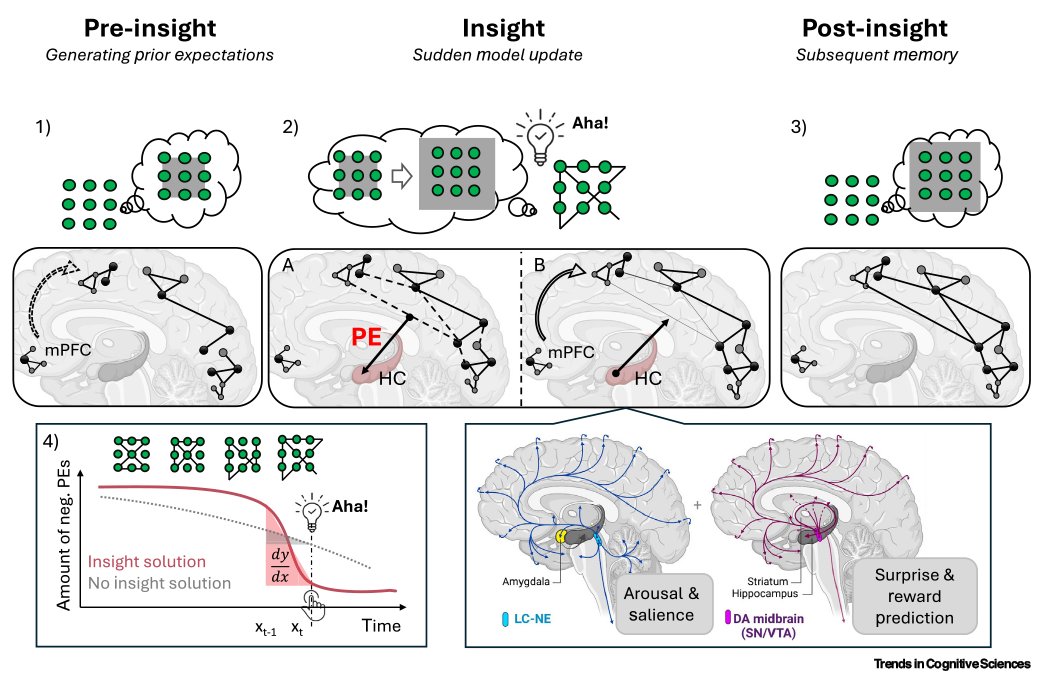 TrendsCognSci's tweet photo. The neural basis of the insight memory advantage

Opinion by Maxi Becker (@MaxiB45064349) &amp; Roberto Cabeza (@RobertoECabeza)
Free access before March 28: https://t.co/NN0pj95m5E https://t.co/VDP3lMxuZ3