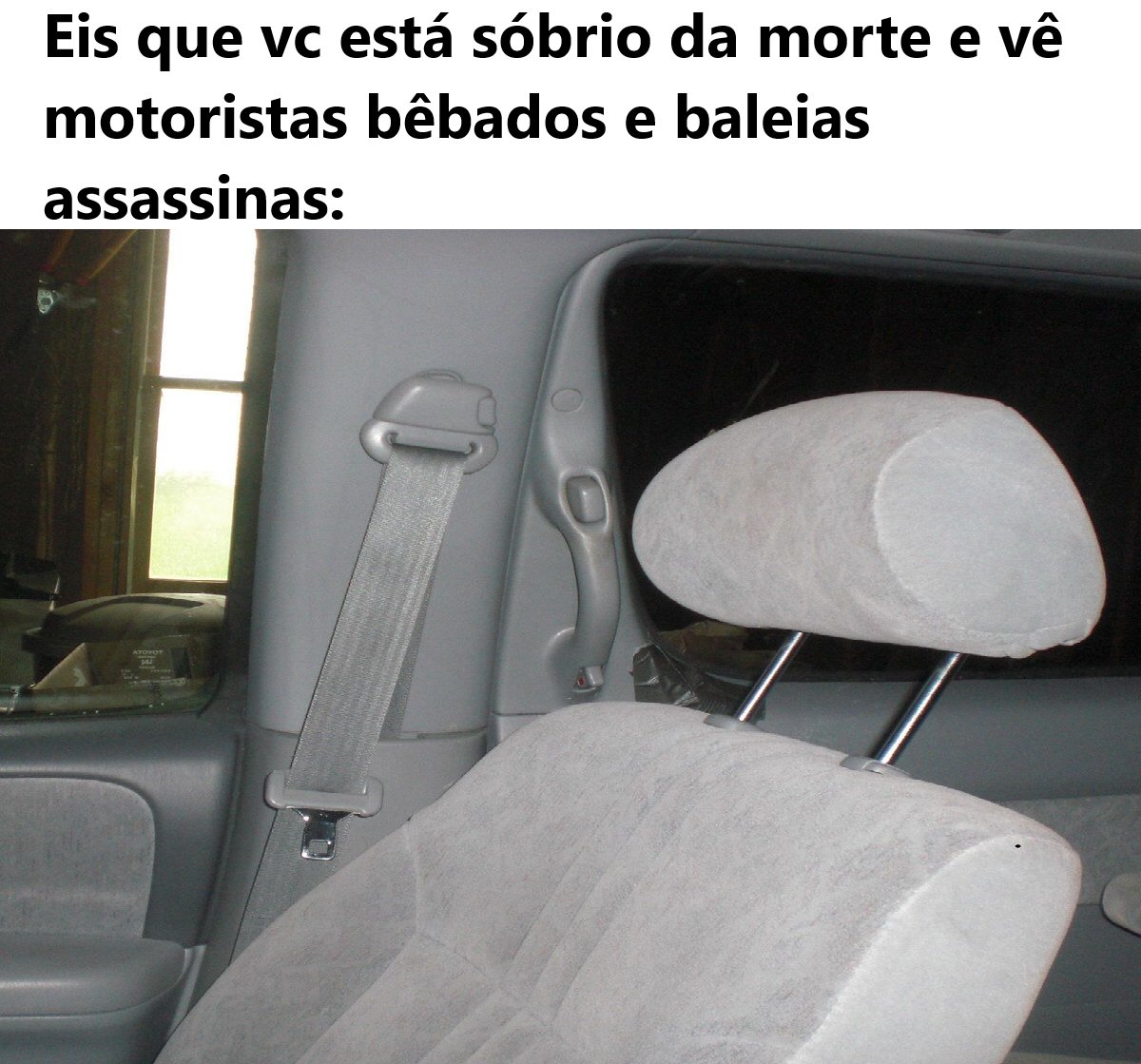 PauldoPará tweet media