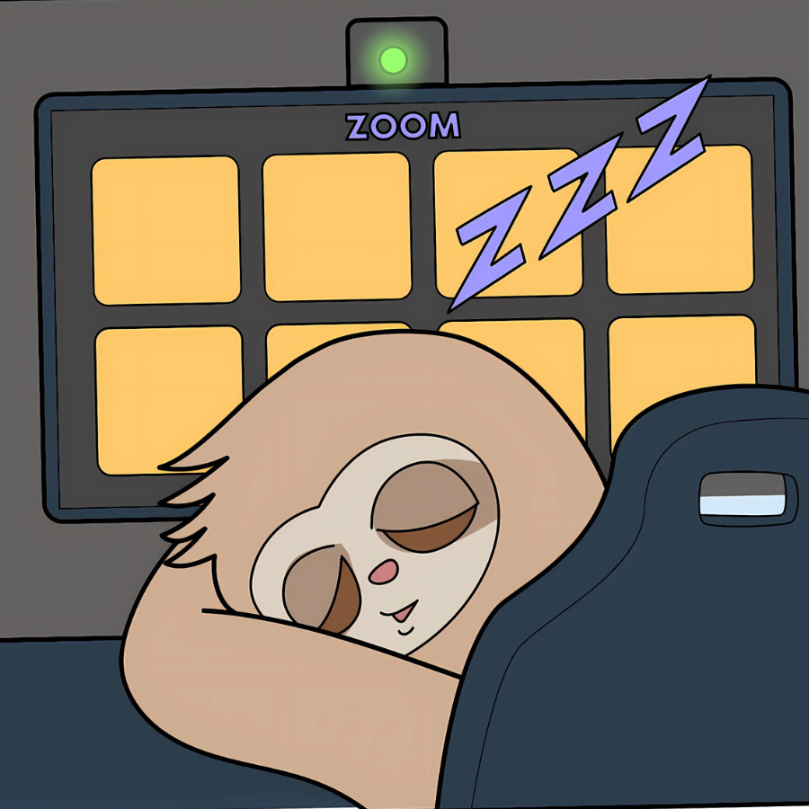 sleepyguyonsol's tweet photo. When you have a zoom meeting to attend, but your just a Sleepy Guy. https://t.co/2xoDrVRbaE