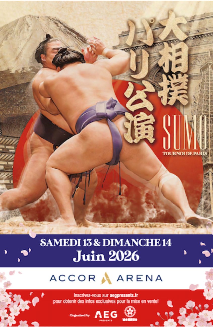 大相撲 中国公演『チケット半券・進行表・チケット販売用チラシ』北京公演2004年6月6日(使用済みチケット) 湘南乃海後援会【公式】 on X: 