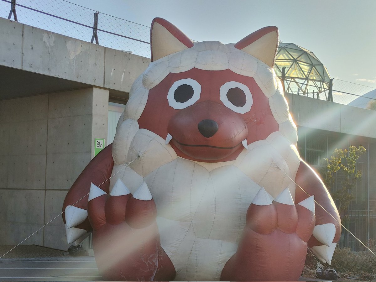 そのD@ tweet media