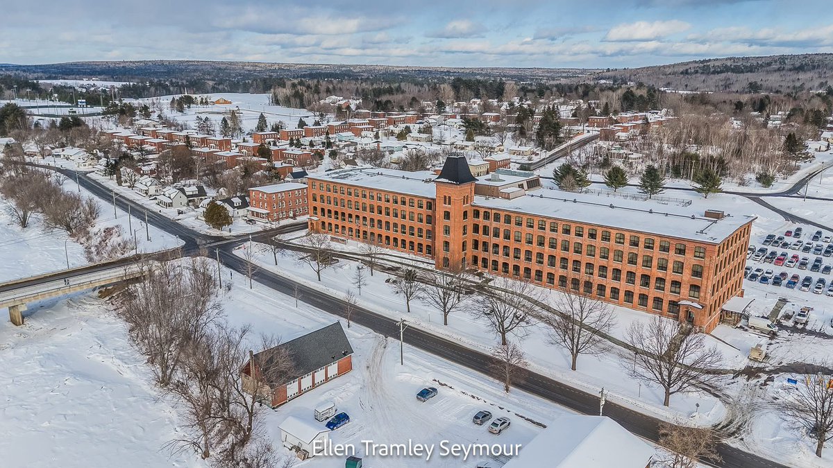 Ellen Tramley Seymour tweet media