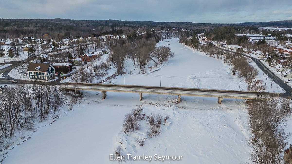 Ellen Tramley Seymour tweet media