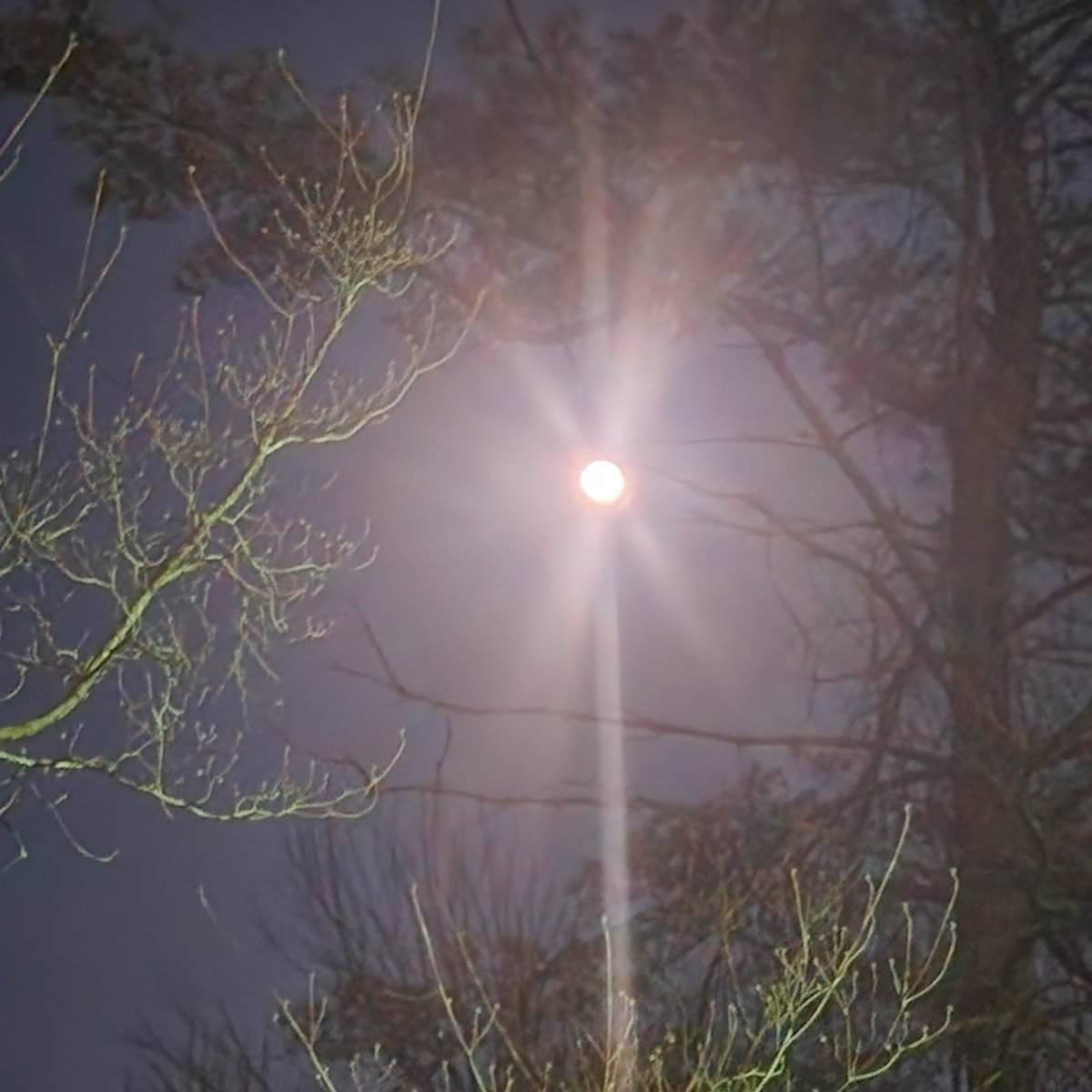 The almost full February snow moon shining bright tonight! And snow is on the way... 🙂❄️🚂