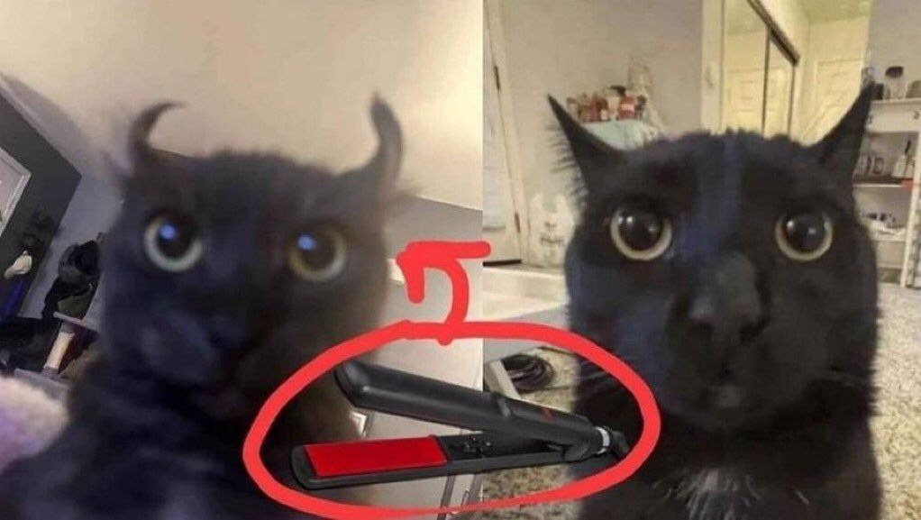 visualscat's tweet photo. https://t.co/56z6RU2dtH