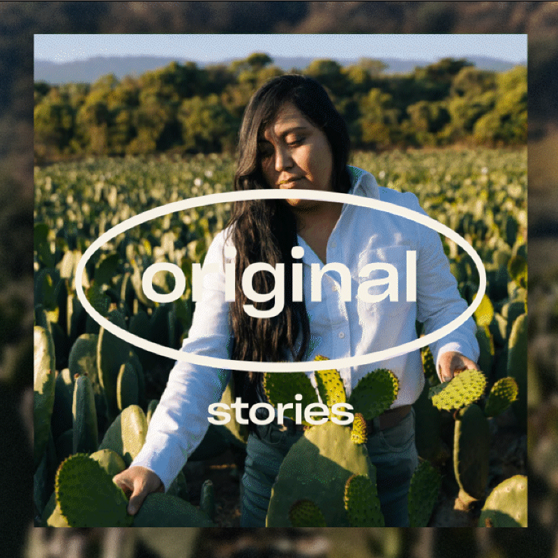 KoppertMX's tweet photo. 👩‍🌾✨ Desde su infancia, Jimena Lima se apasionó por el biocontrol. Hoy, en Koppert México, lidera estrategias con ácaros depredadores para una agricultura sostenible. 🌱🕷️

#NadaSuperaalOriginal #koppertmx #PartnersWithNature