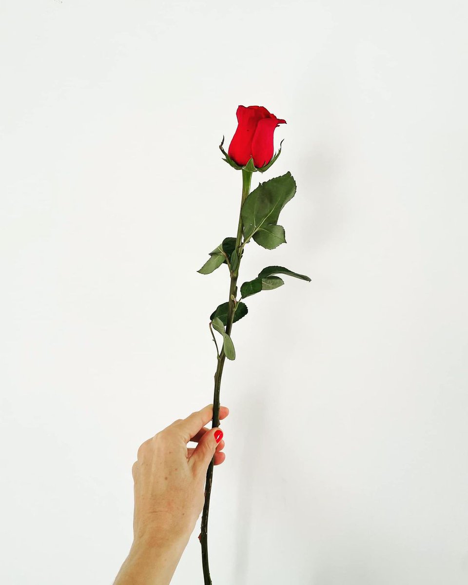 blissdesigned's tweet photo. Love alone blues the sky and greens the grass and brightens all the light we see. —Popova
Happy Valentine's week! 
Join the Longevity Salon for free until February 14th, link is below. It's on love this week. 
#longevitysalon #biologyoflove #biologyoferos https://t.co/xOQBEgWqi9