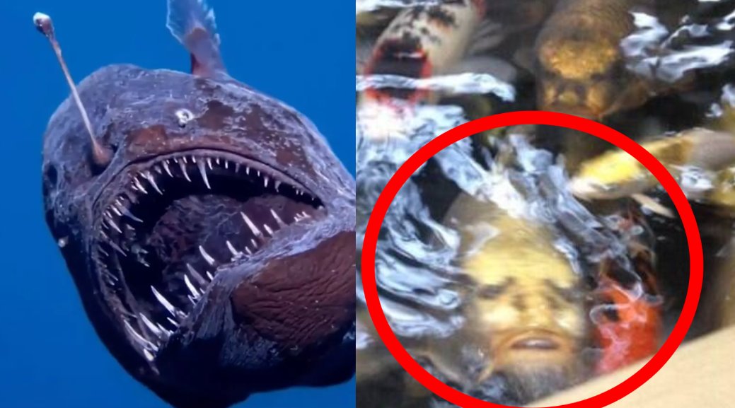 🚨AGORA NESSA PORRA: Após aparição do Peixe-Diabo, Peixe-Jesus se multiplica, anda sobre os oceanos e o que acontece a seguir é inacreditável!