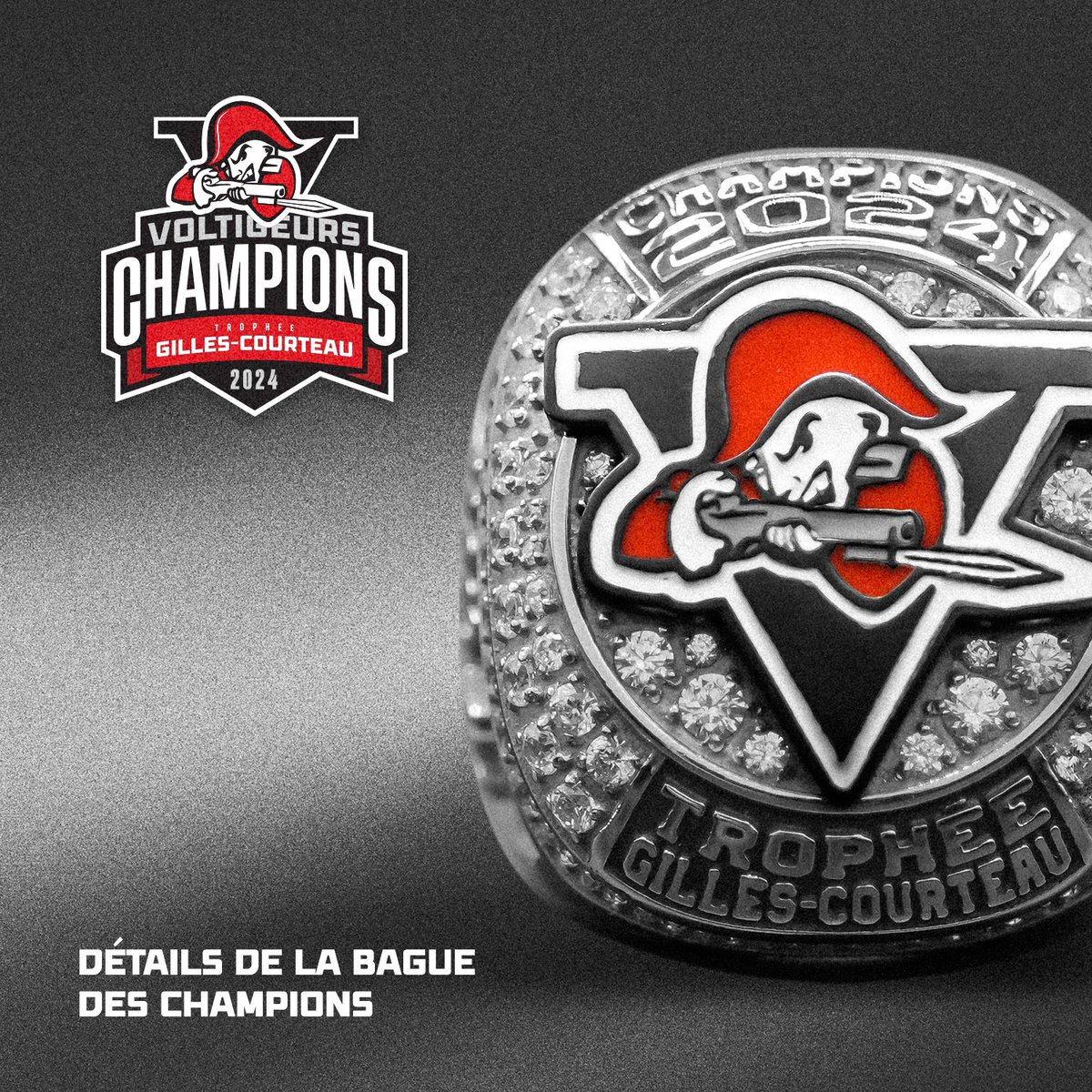 VoltigeursDRU's tweet photo. 𝐁𝐚𝐠𝐮𝐞: 𝒏.𝒇. Anneau que l'on met au doigt. 💍 

Notre bague des champions, en haute définition. 💎 

#BagueDesChampions https://t.co/invRStxkay