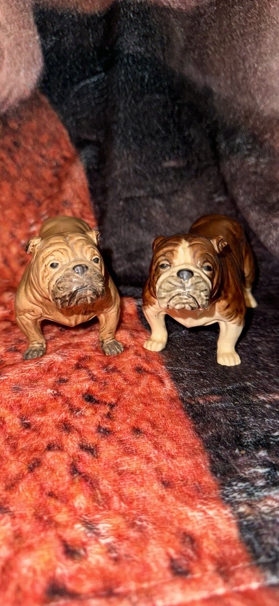 collectibulldog's tweet image. DOUBLE VISION 

Here are #four pictures with a #twin a piece and I’m #asking you to choose your #favourite! By #answering and keeping this going you’ll be in a #thread that every time a new #comment gets added your #tag is put at the top I chose Treen heads #woods more #natural