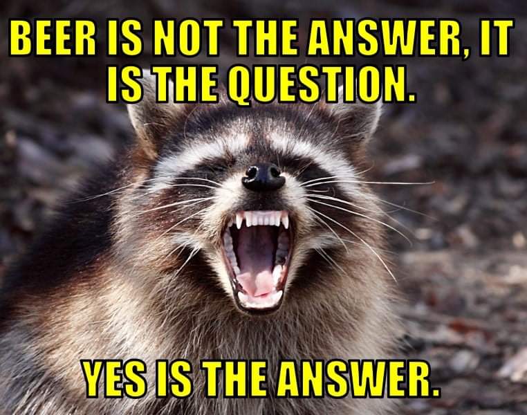 HasBenAgain's tweet image. 