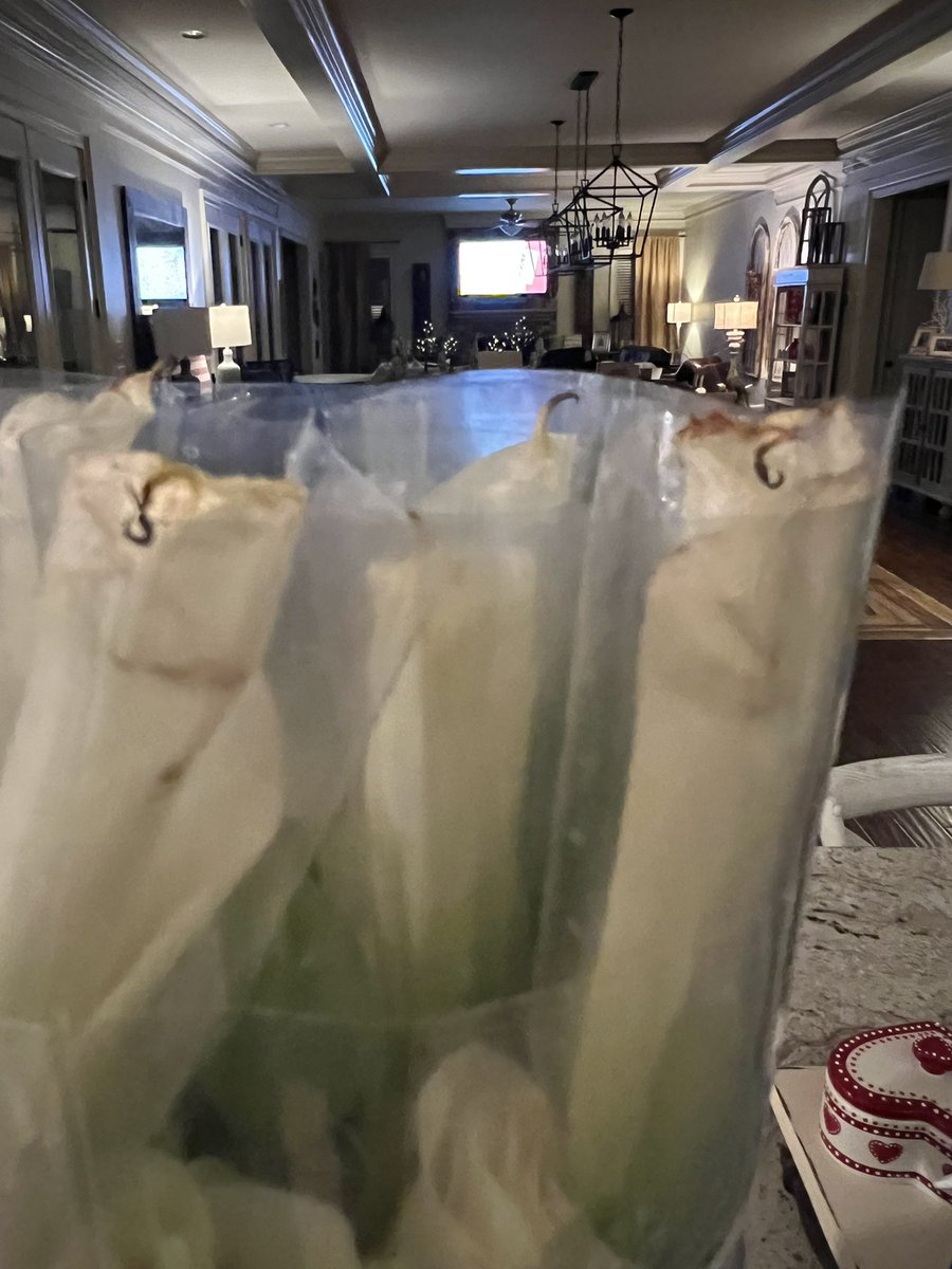 Staiti1's tweet photo. @1800flowershelp sympathy flowers arrive dead. Over an hour on the phone today tracking down the replacement flowers supposed to be delivered today. Can’t find the order. Atrocious lack of service. Get agents who can understand English. https://t.co/D2ant7CKAX